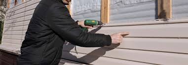 Best Storm Damage Siding Repair  in Elgin, MN